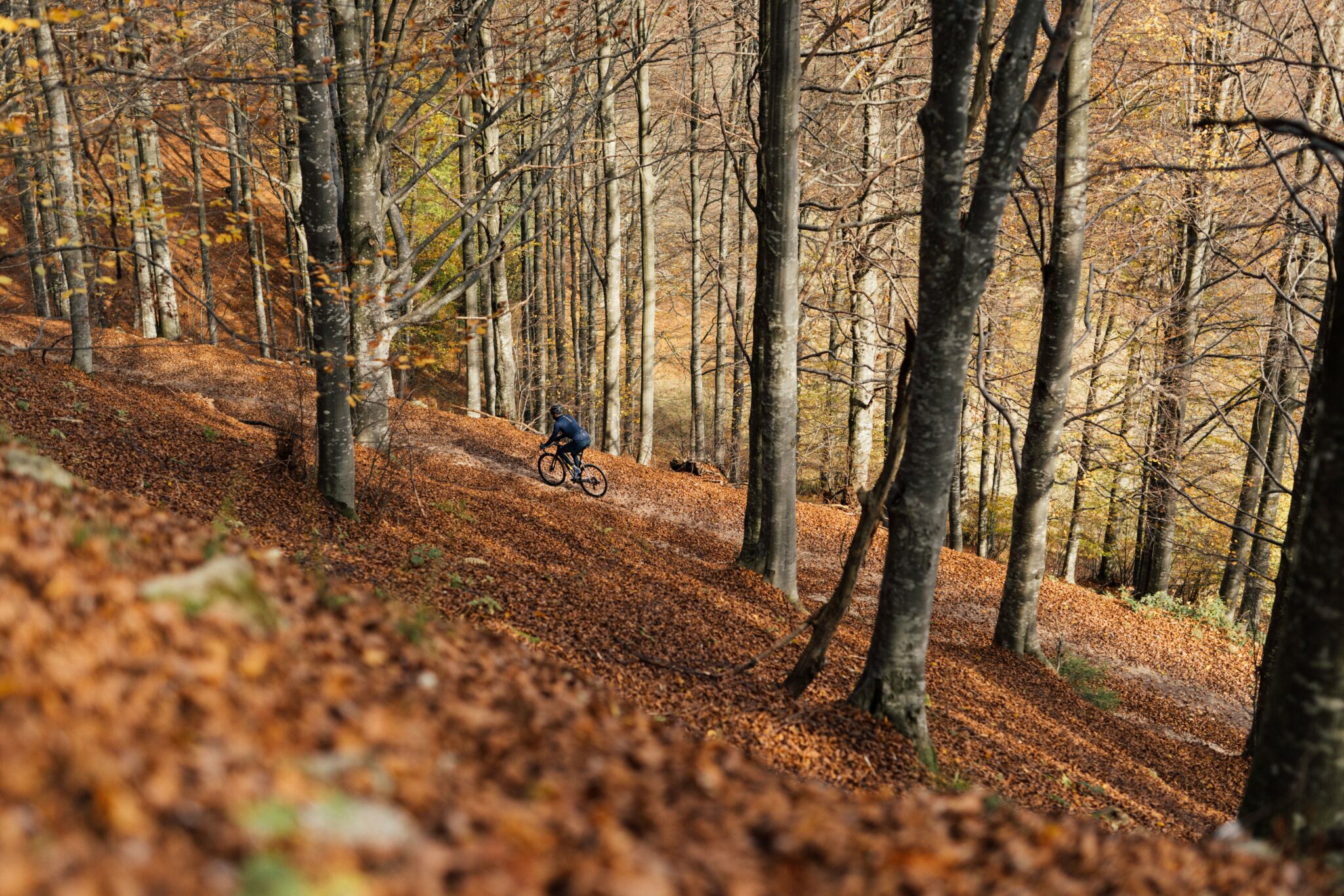 Cinq spots pour une sortie gravel cet automne