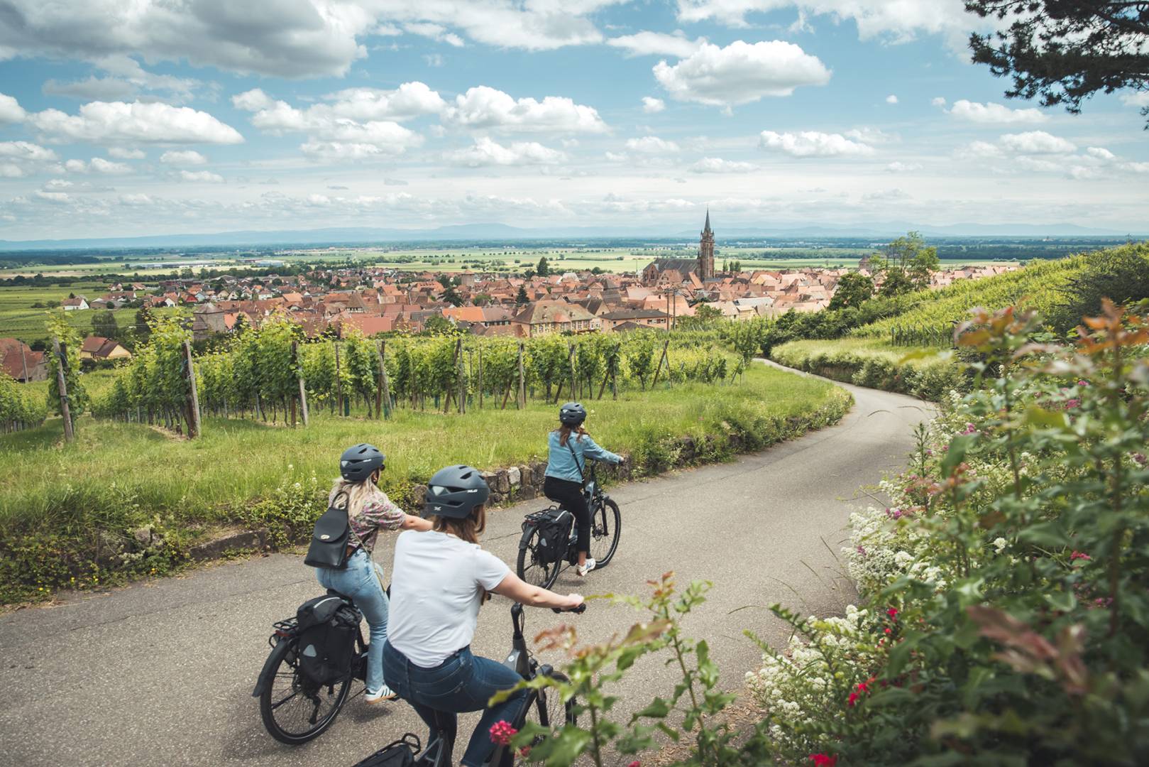 Alsace paysages cyclistes