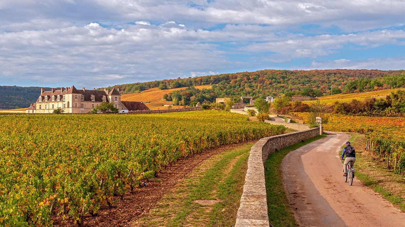 Bourgogne paysage cycliste