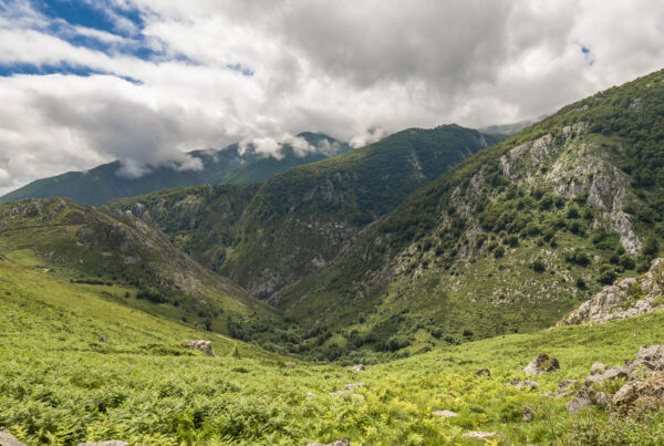 Le Massif Central