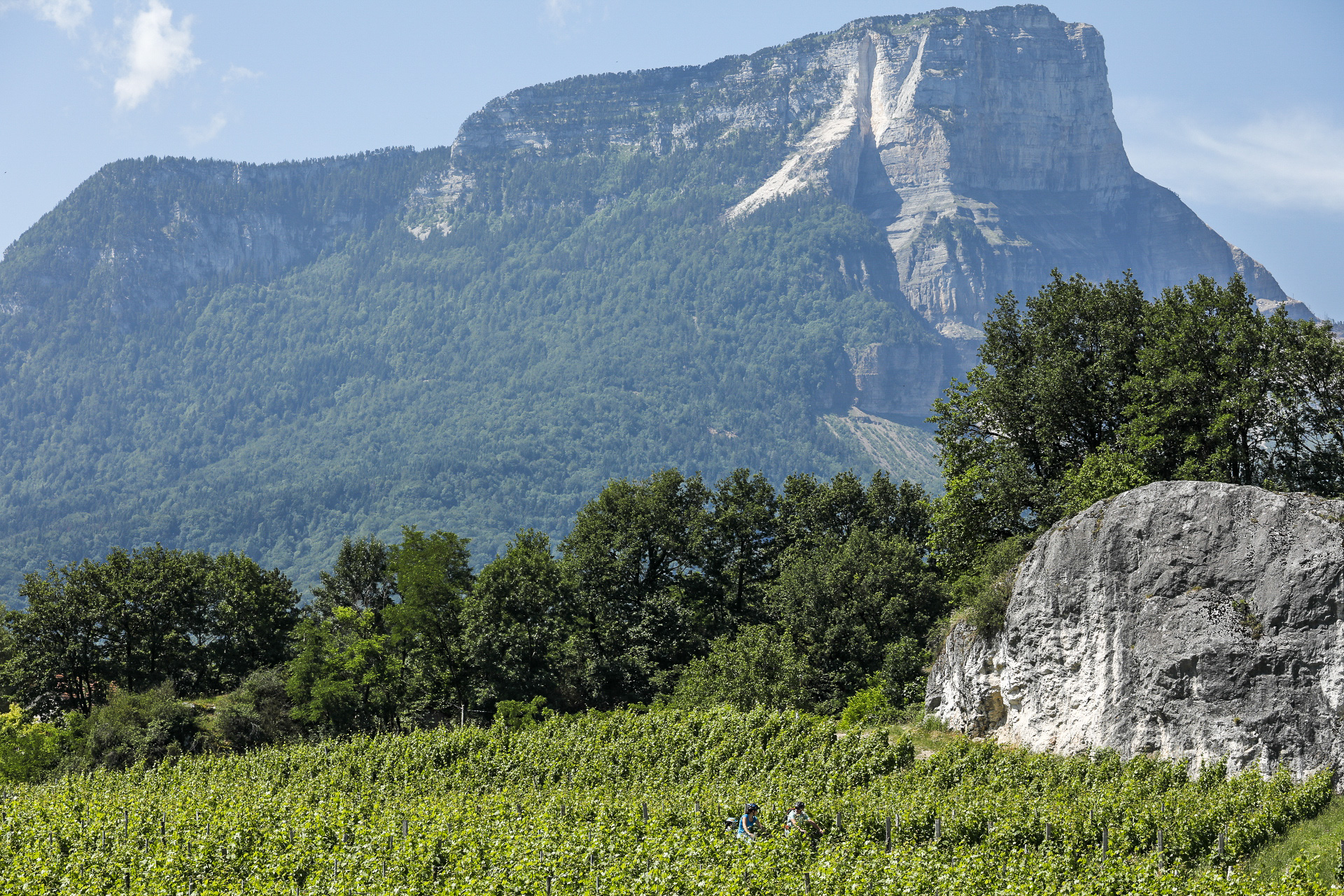 Itinerance sur la veloroute du lac du Bourget au lac Saint Andre