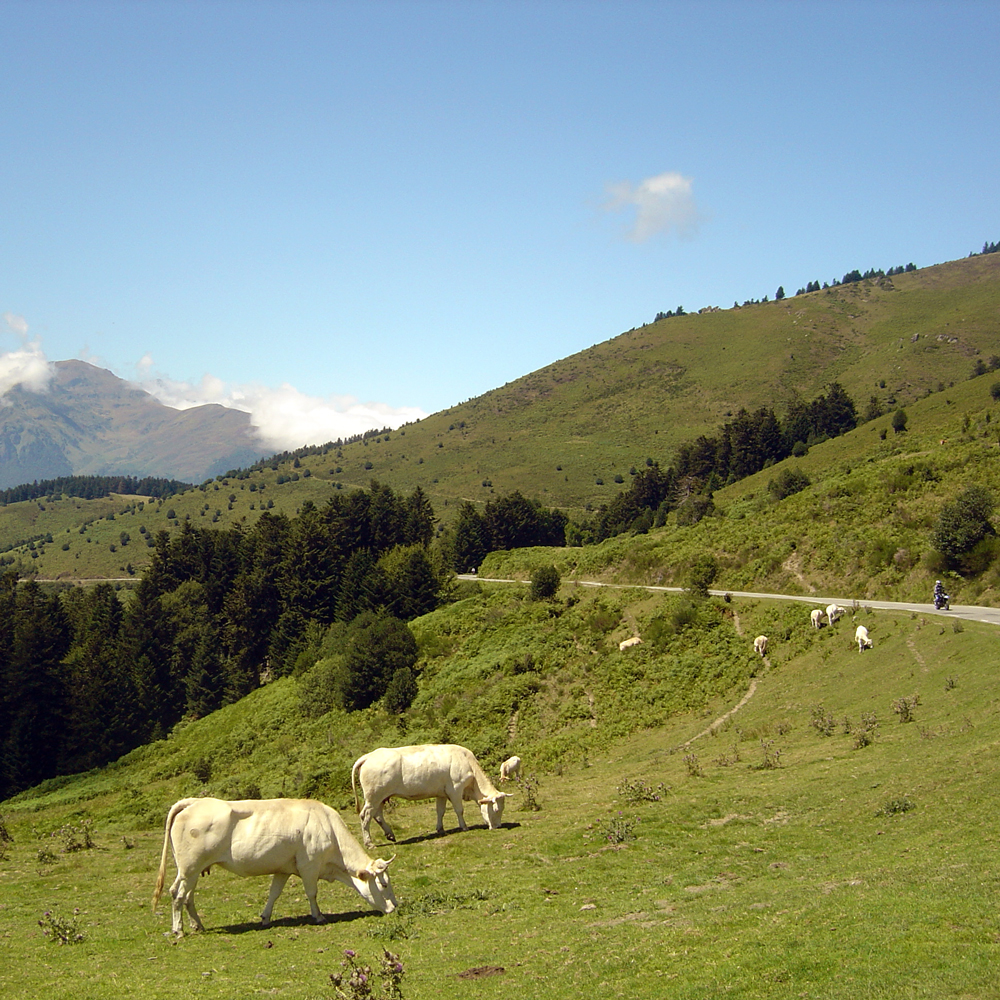 Col d'Aspin dans les Pyrénées