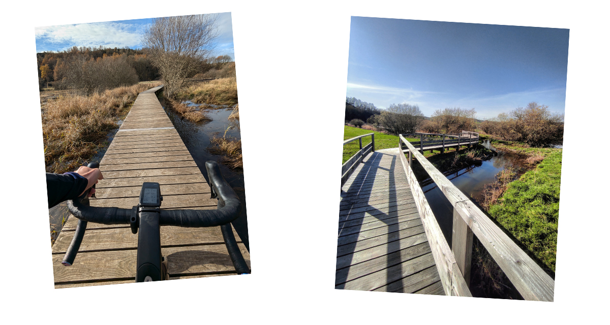 Le sublime marais de Saint-Pierre-le-Chastel