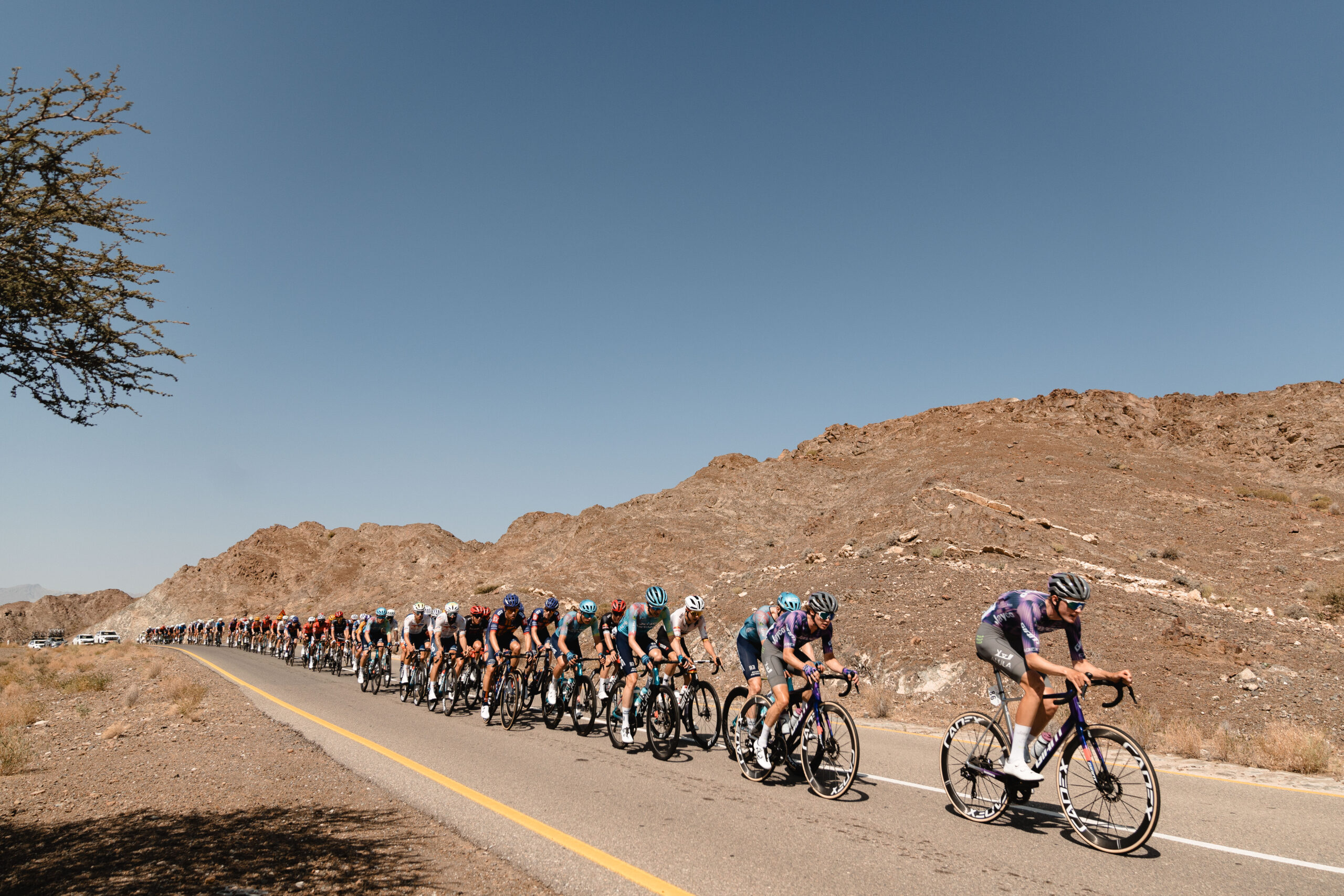 Peloton de cyclistes professionnels lors d'une course au Moyen-Orient, début de saison cycliste